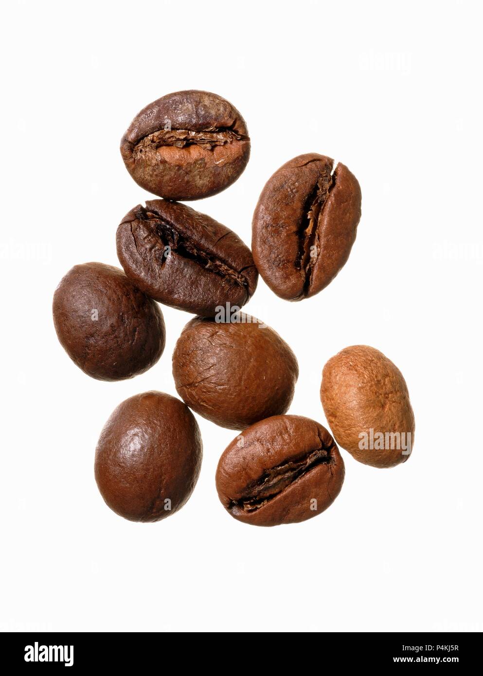 Roasted India Cherry coffee beans Stock Photo