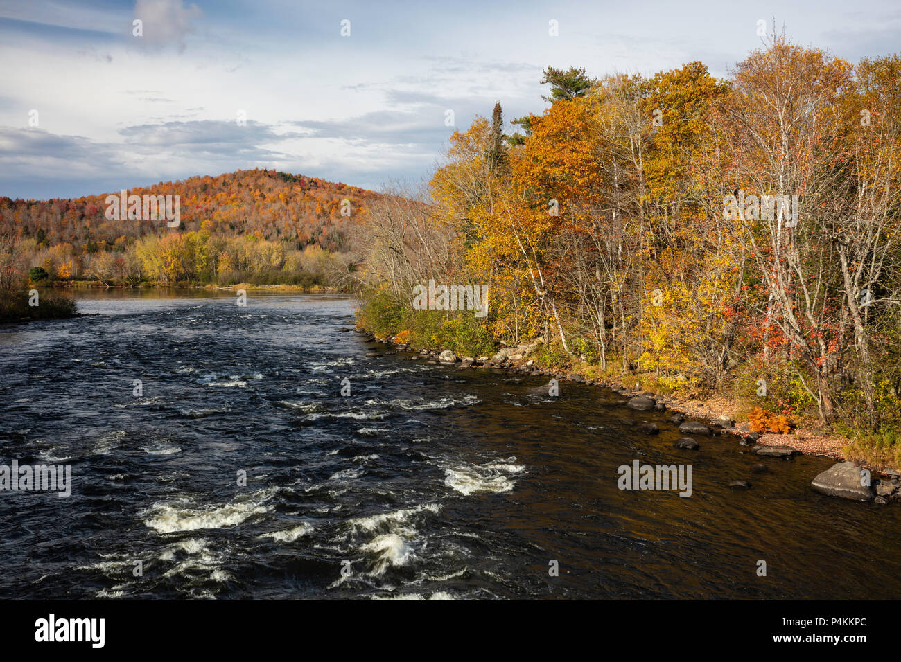 Fall foliage along the Androscoggin River, Errol, New Hampshire Stock