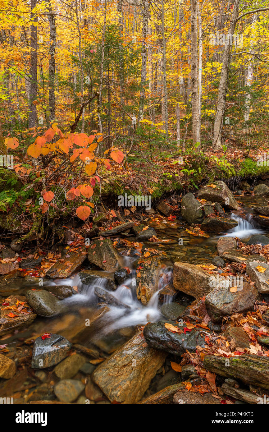 Dixville notch new hampshire hires stock photography and images Alamy