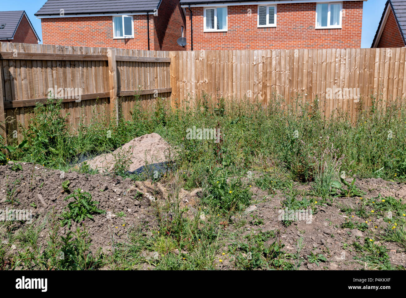 Garden of a new build house overgrown with weeds Stock Photo