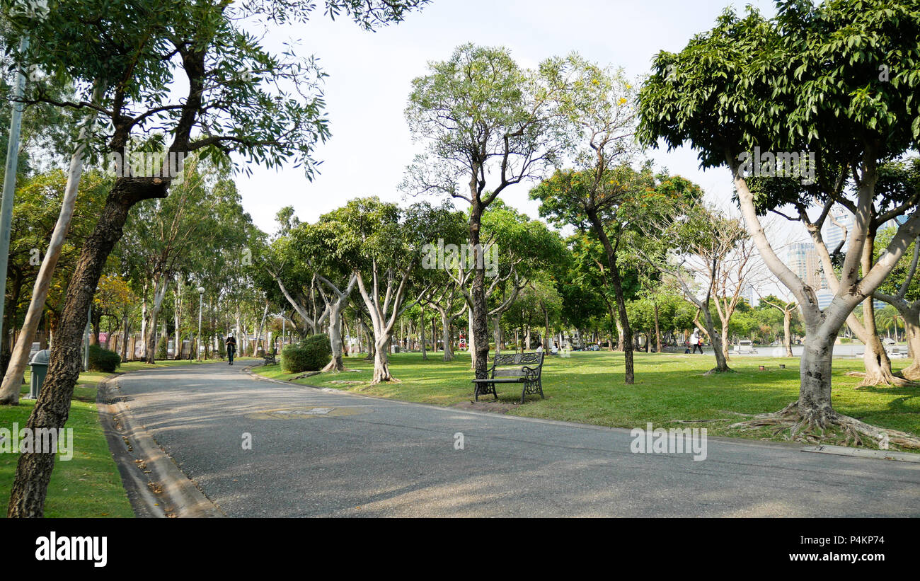 walkway in the park with trees forest Stock Photo - Alamy