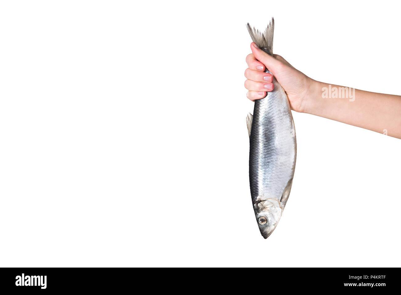 Селедка (слабосоленая). Сельдь атлантическая слабосоленая. Сельдь филе с/с. Сельдь сверху. Селедка нарезанная.