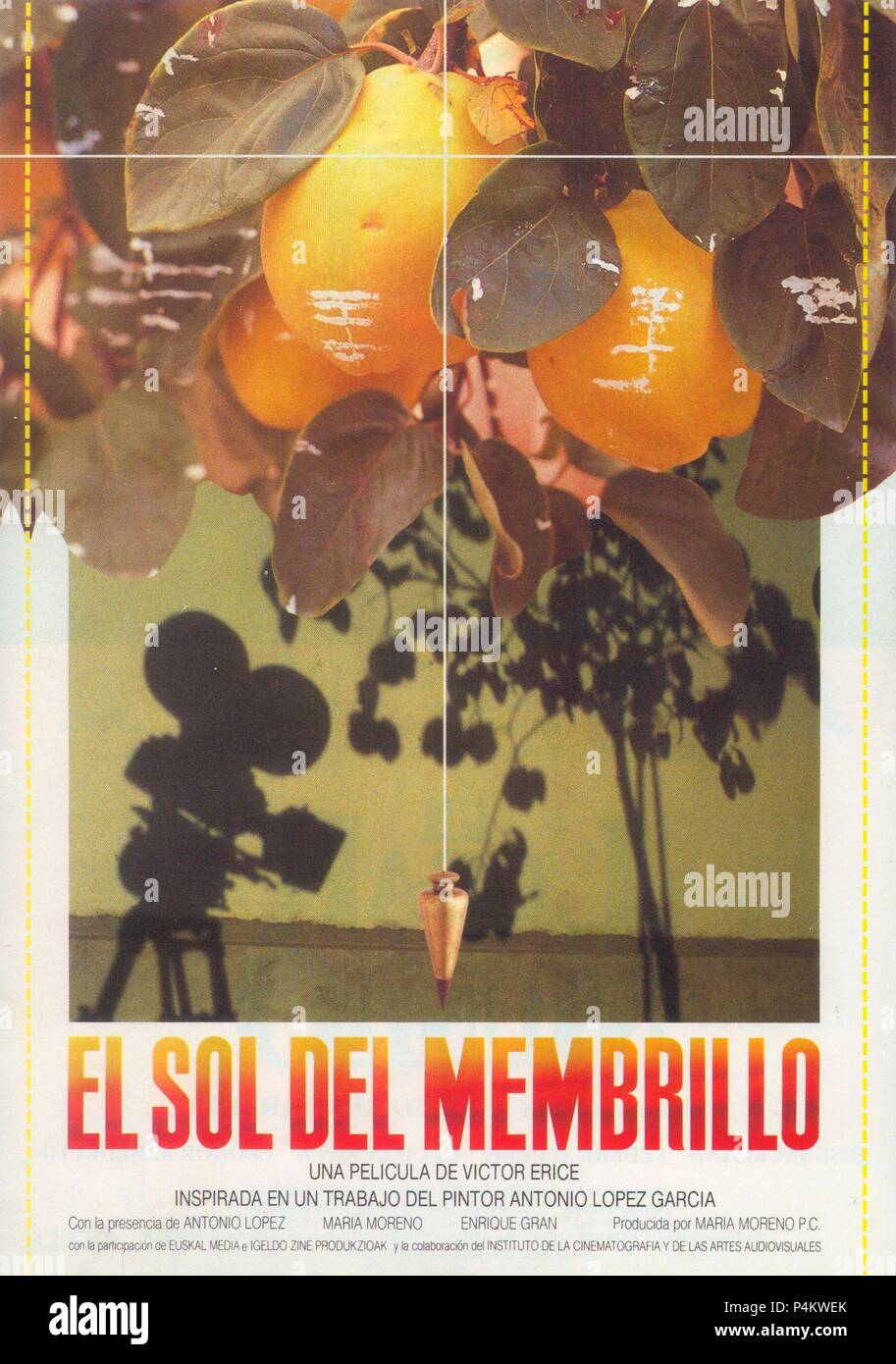 Original Film Title: EL SOL DEL MEMBRILLO. English Title: THE