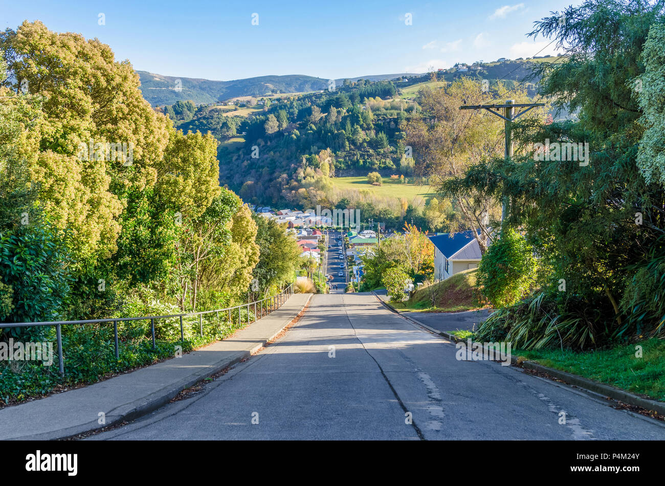 Baldwin Street which is located in Dunedin,New Zealand is the world steepest street in the world. Stock Photo