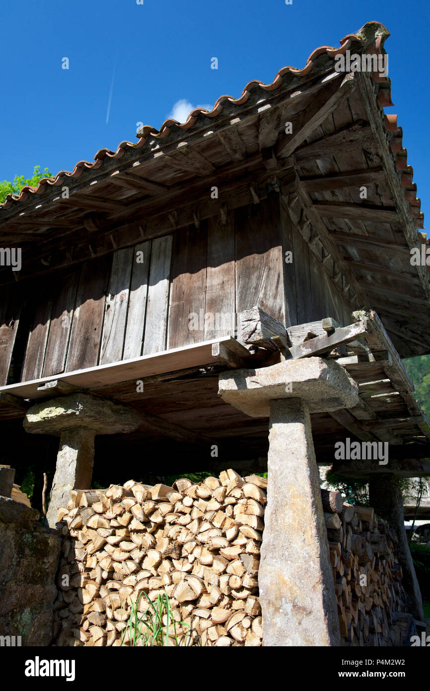 Raised granary in Asturias, N Spain Stock Photo
