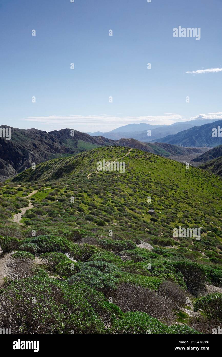 Hiking in Whitewater, California through rolling green hills Stock