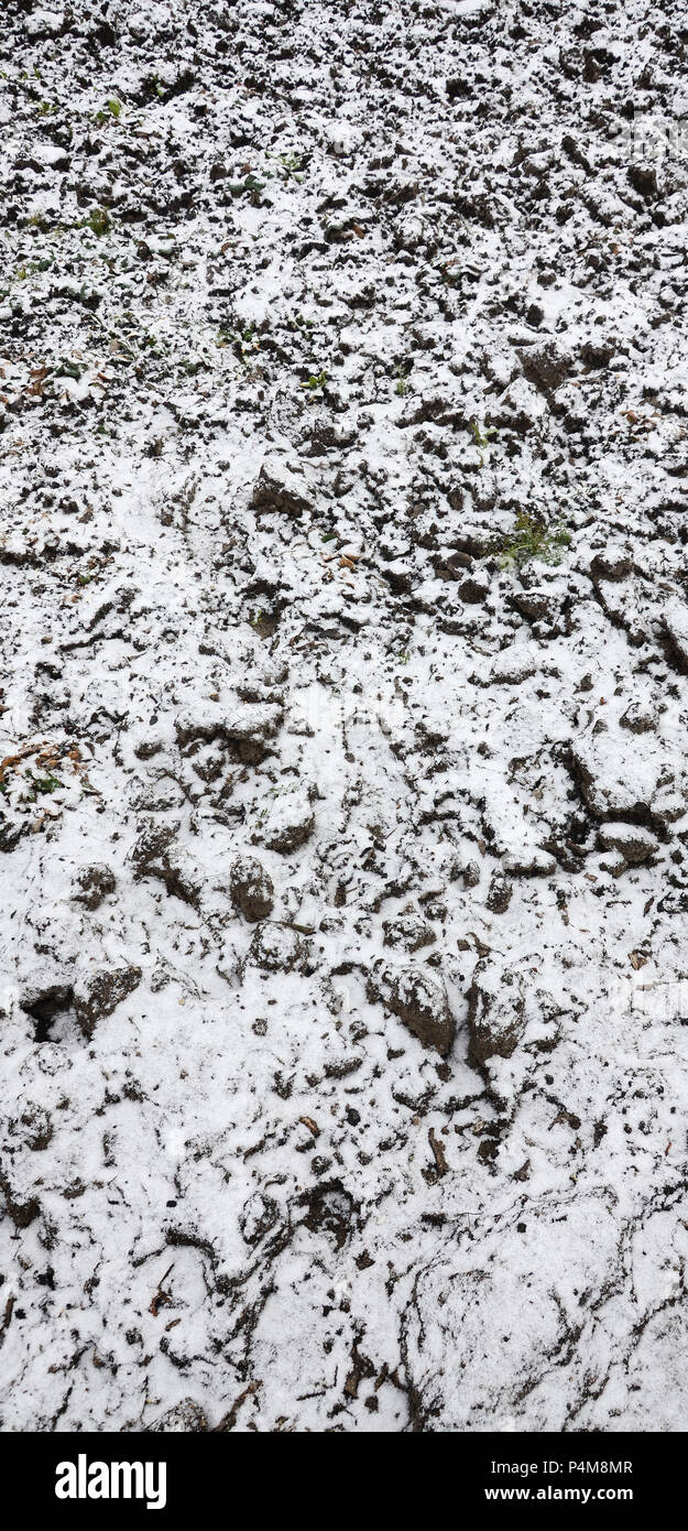 The texture of the ground, covered with a thin layer of snow. The soil ...