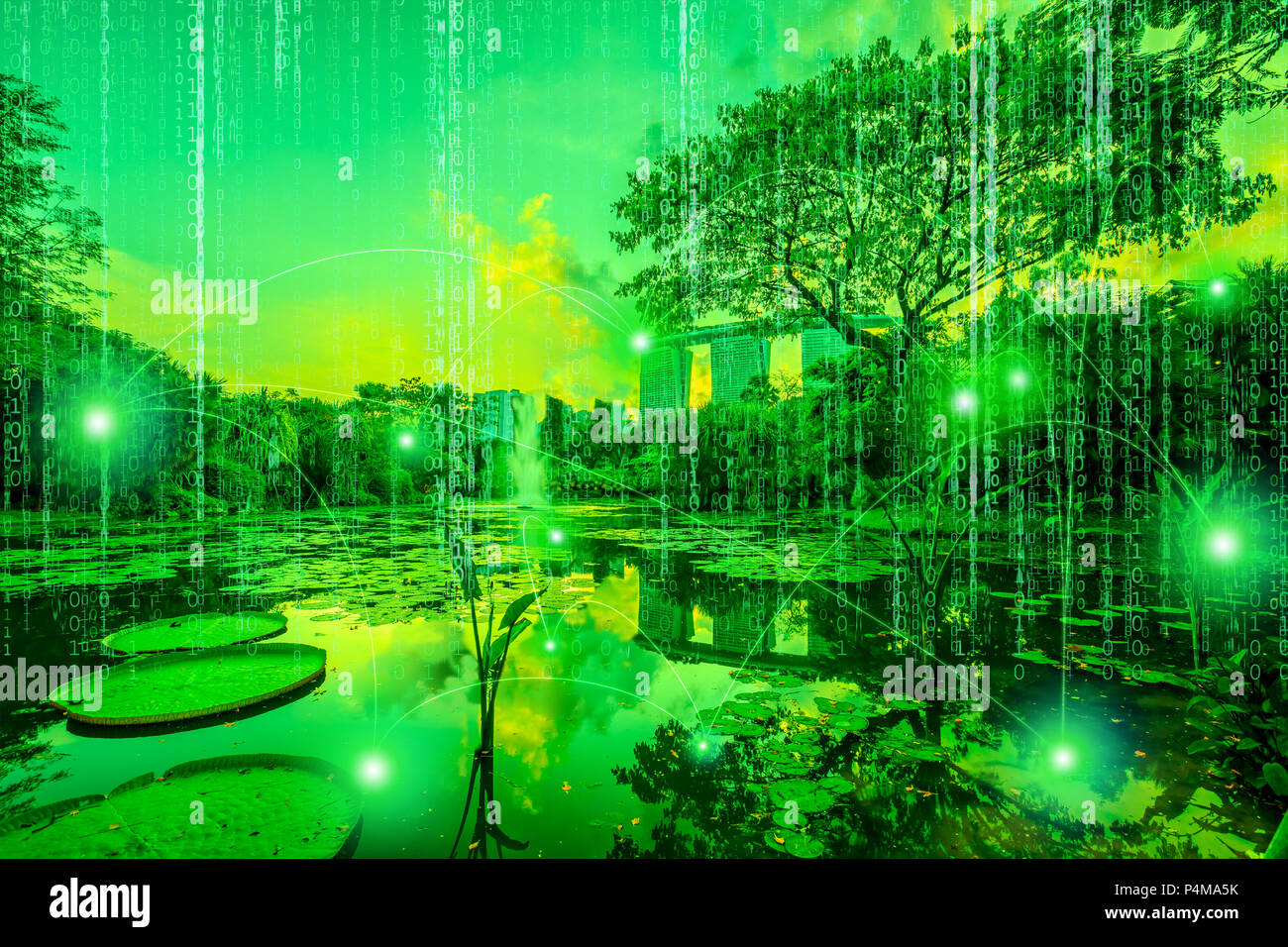 Concept of digital connection and transactions connectivity between digital trees of a computer grove. Virtual skyline with matrix sky background in green color. Concept of virual money and bitcoin. Stock Photo