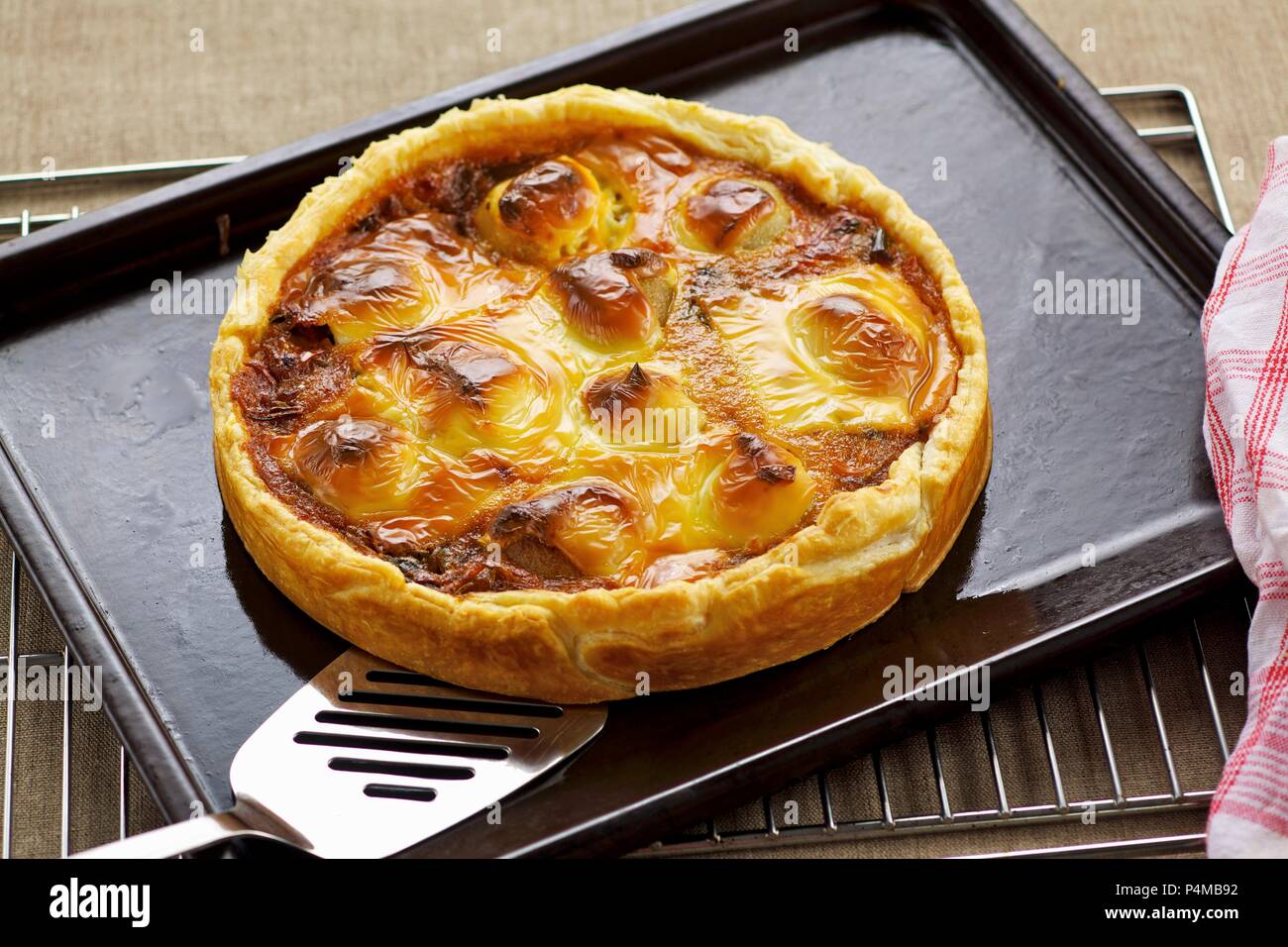 Onion and potato tart topped with melted cheese Stock Photo Alamy