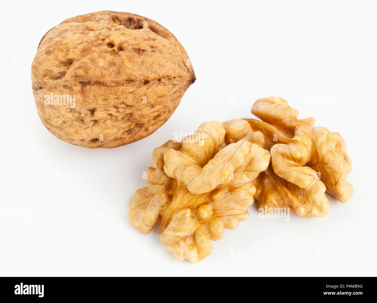A whole walnut in its shell and two walnut halves Stock Photo