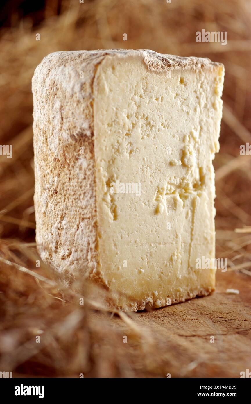 Escarun (hard cheese from Piedmont, Italy) Stock Photo