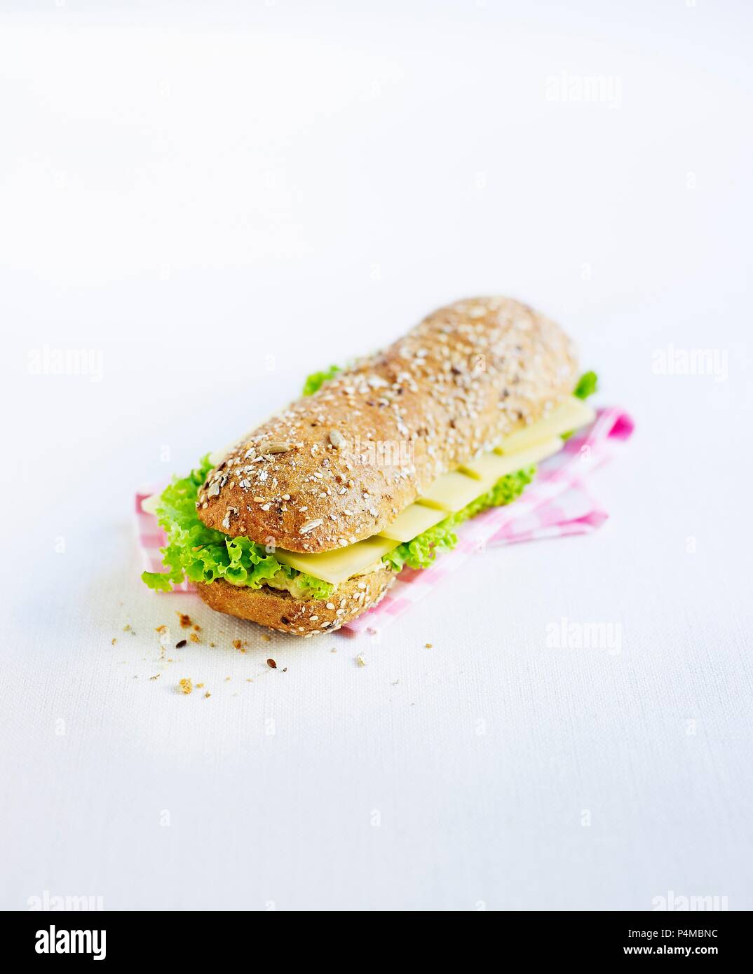 Cheese sandwich with lettuce Stock Photo