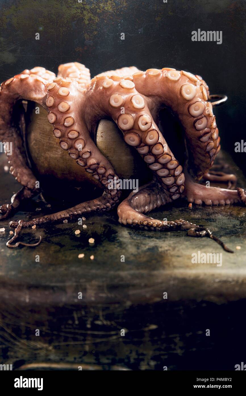 Fresh octopus in a bowl Stock Photo