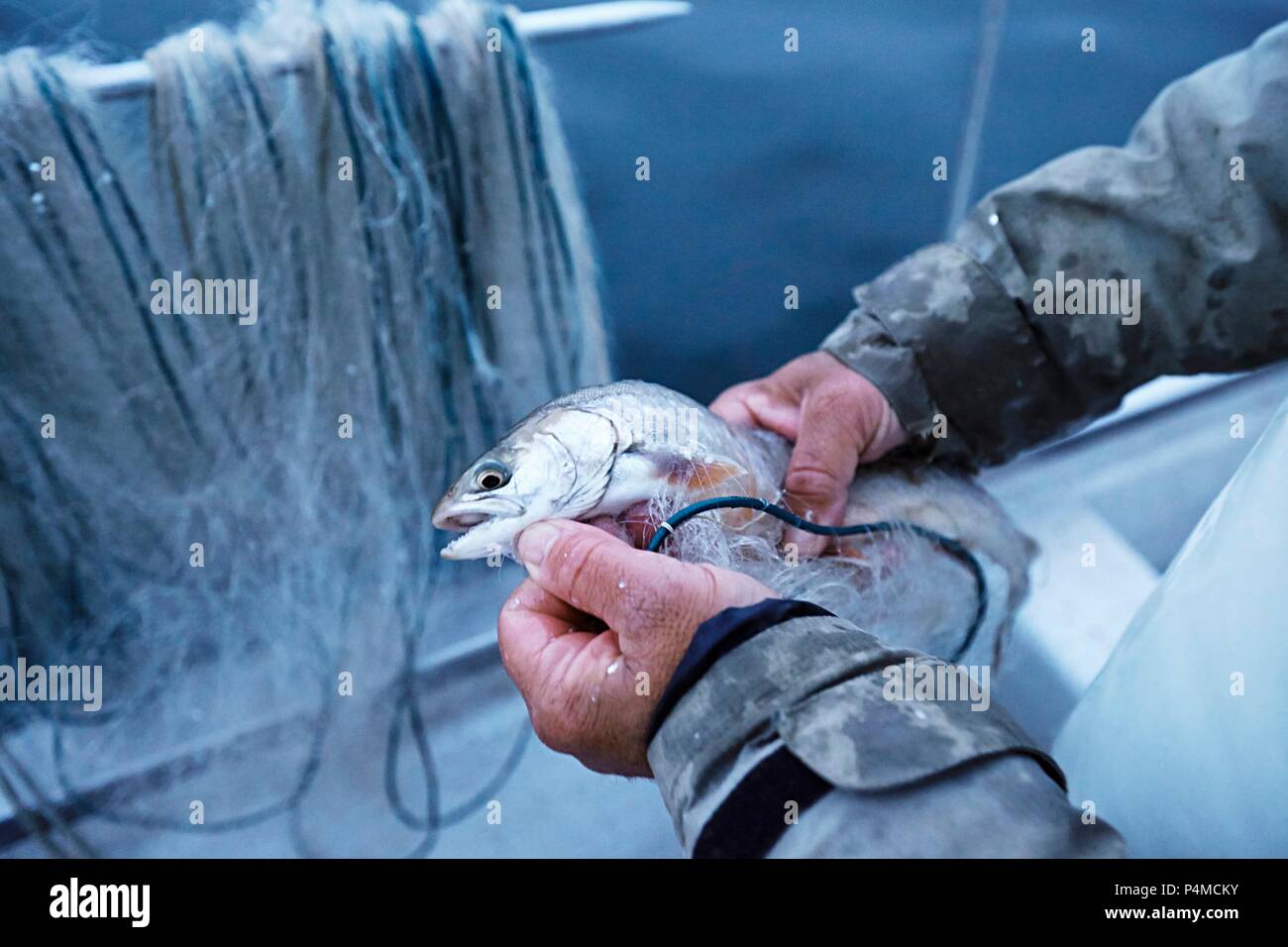 A fishermen on Lake Constance with a freshly caught fish Stock Photo