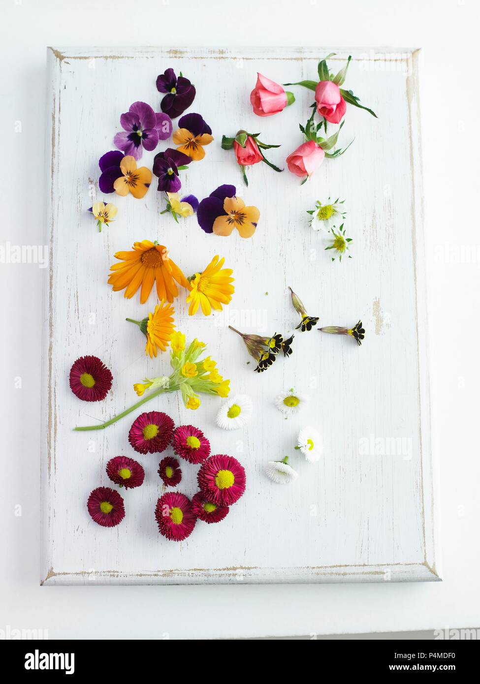 Assorted edible flowers Stock Photo