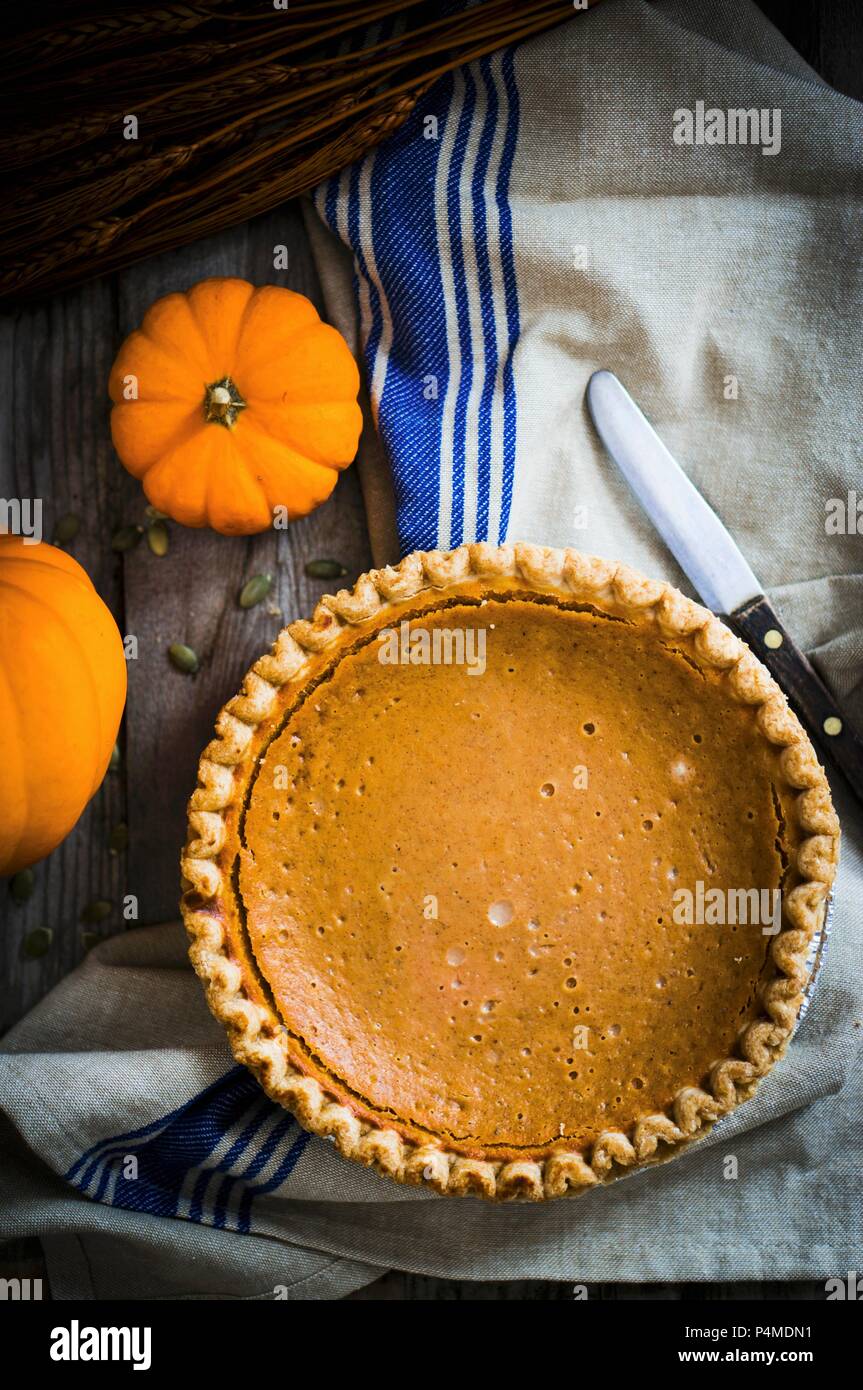 A whole pumpkin pie (seen from above) Stock Photo