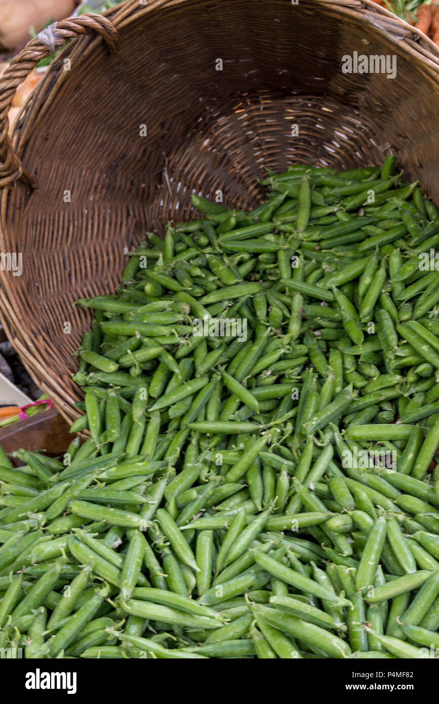 freshly picked peas in pods. Stock Photo