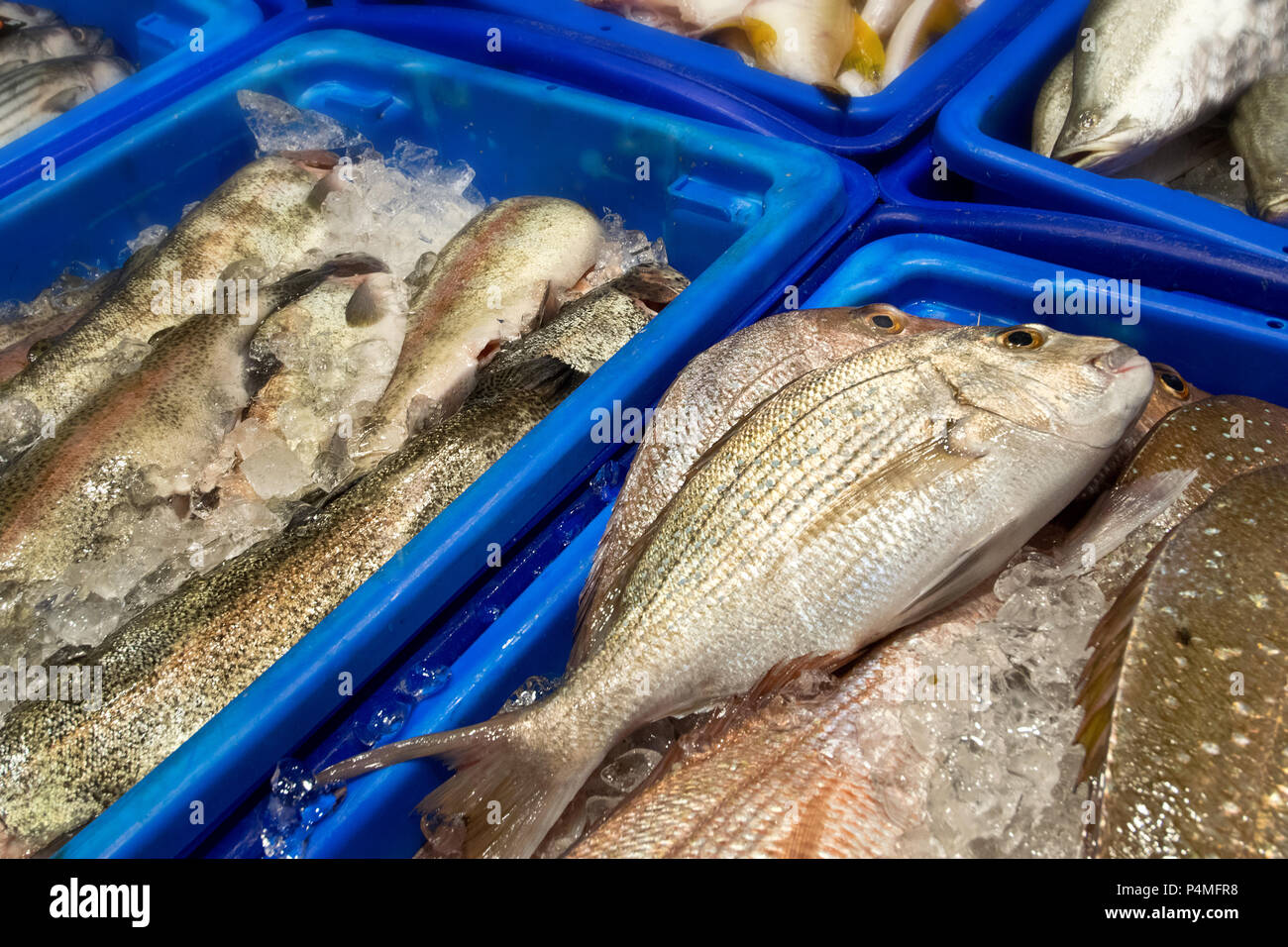 Detail of fresh fish in the fish market. Stock Photo