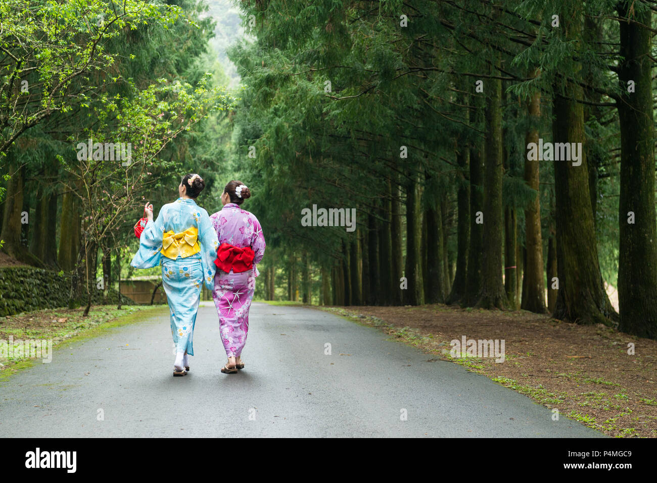 Back view of two young ladies walking in the forest and has a nice ...
