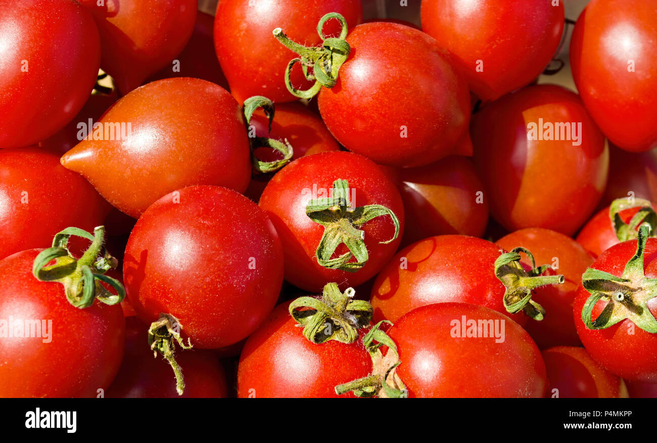 Red tomatoes background. Group of tomatoes Stock Photo - Alamy
