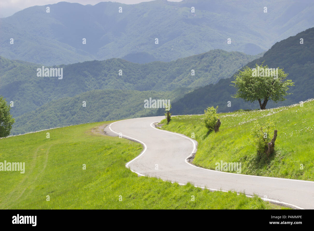 winding curvy rural road in green meadows and beautiful mountain views in countryside in natural spring Stock Photo