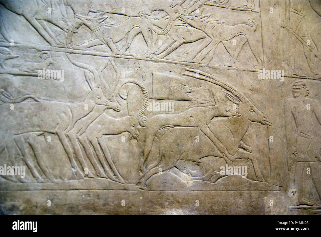 Cairo, Egypt February 22, 2017Hieroglyphics very well conserved in a