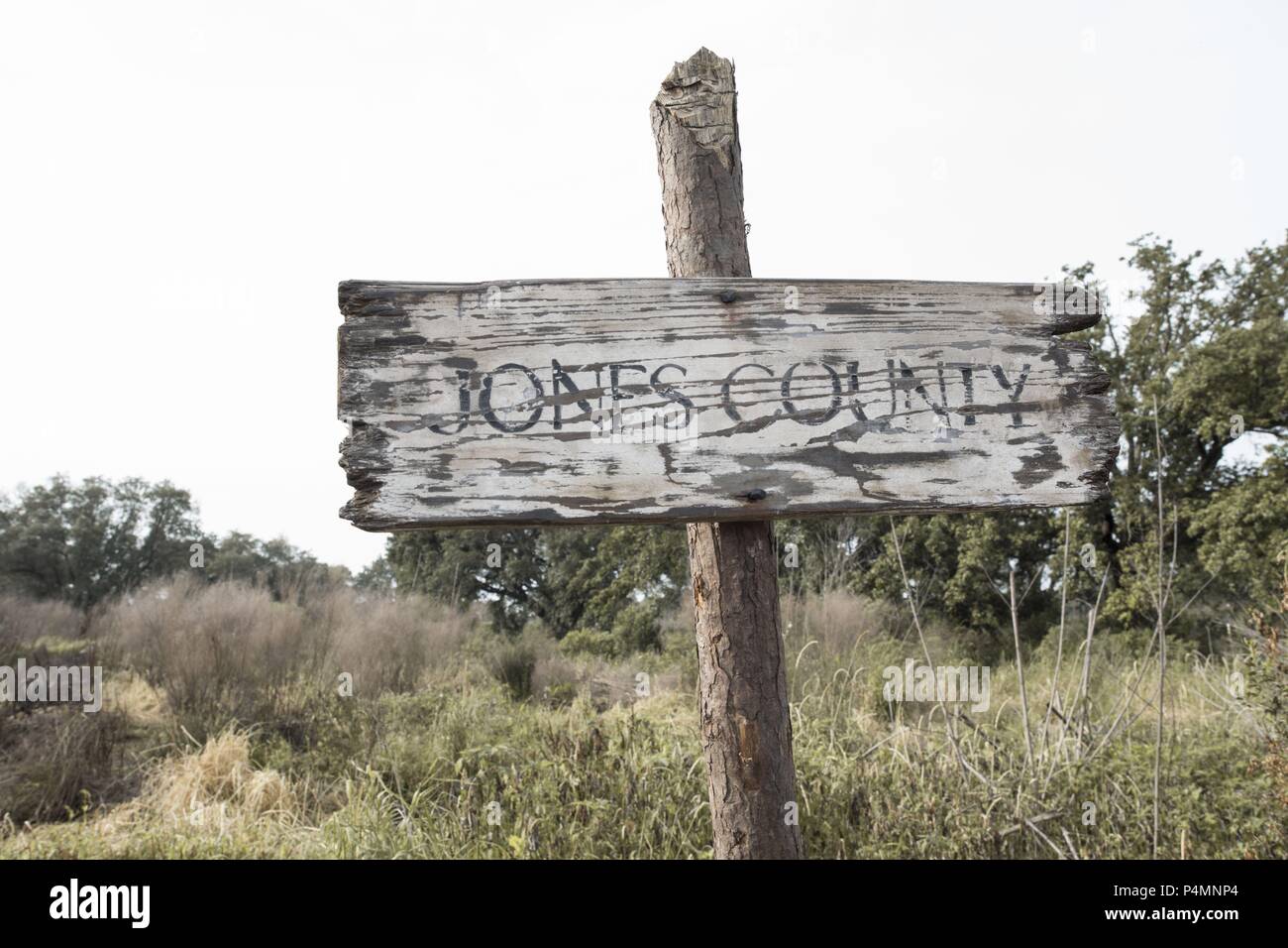 Original Film Title: THE FREE STATE OF JONES. English Title: THE FREE ...