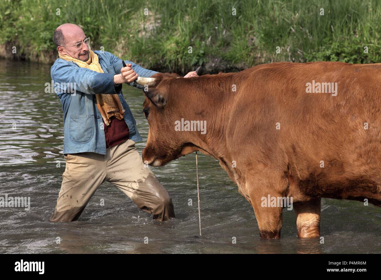 Comedy cow hi-res stock photography and images - Alamy