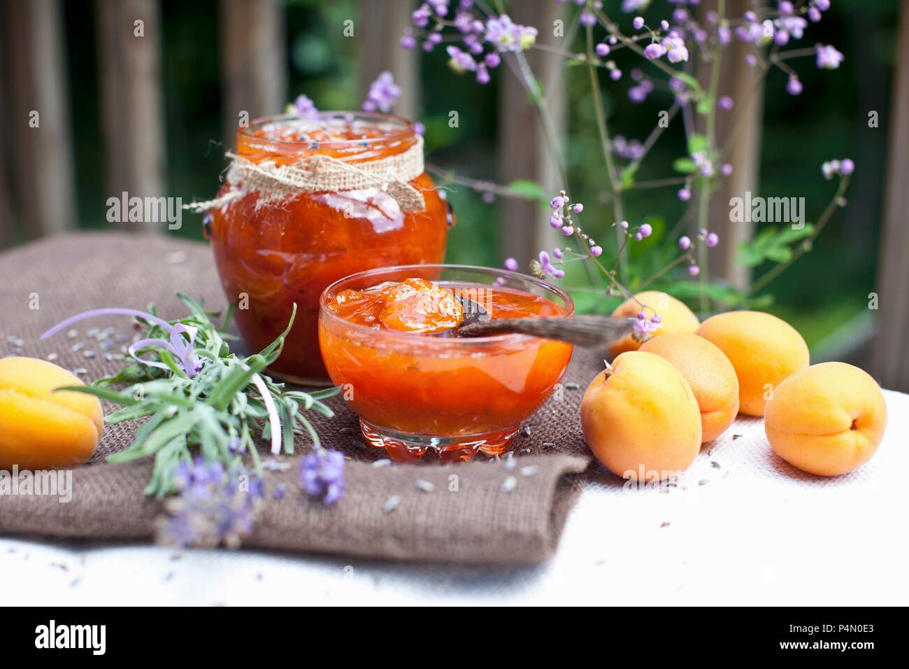 Homemade Apricot Jam with Fresh Apricots and Lavender Stock Photo