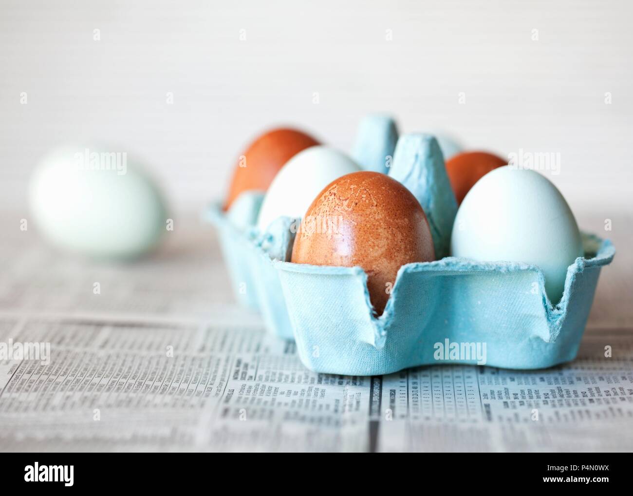 A box of brown and pastel blue eggs Stock Photo