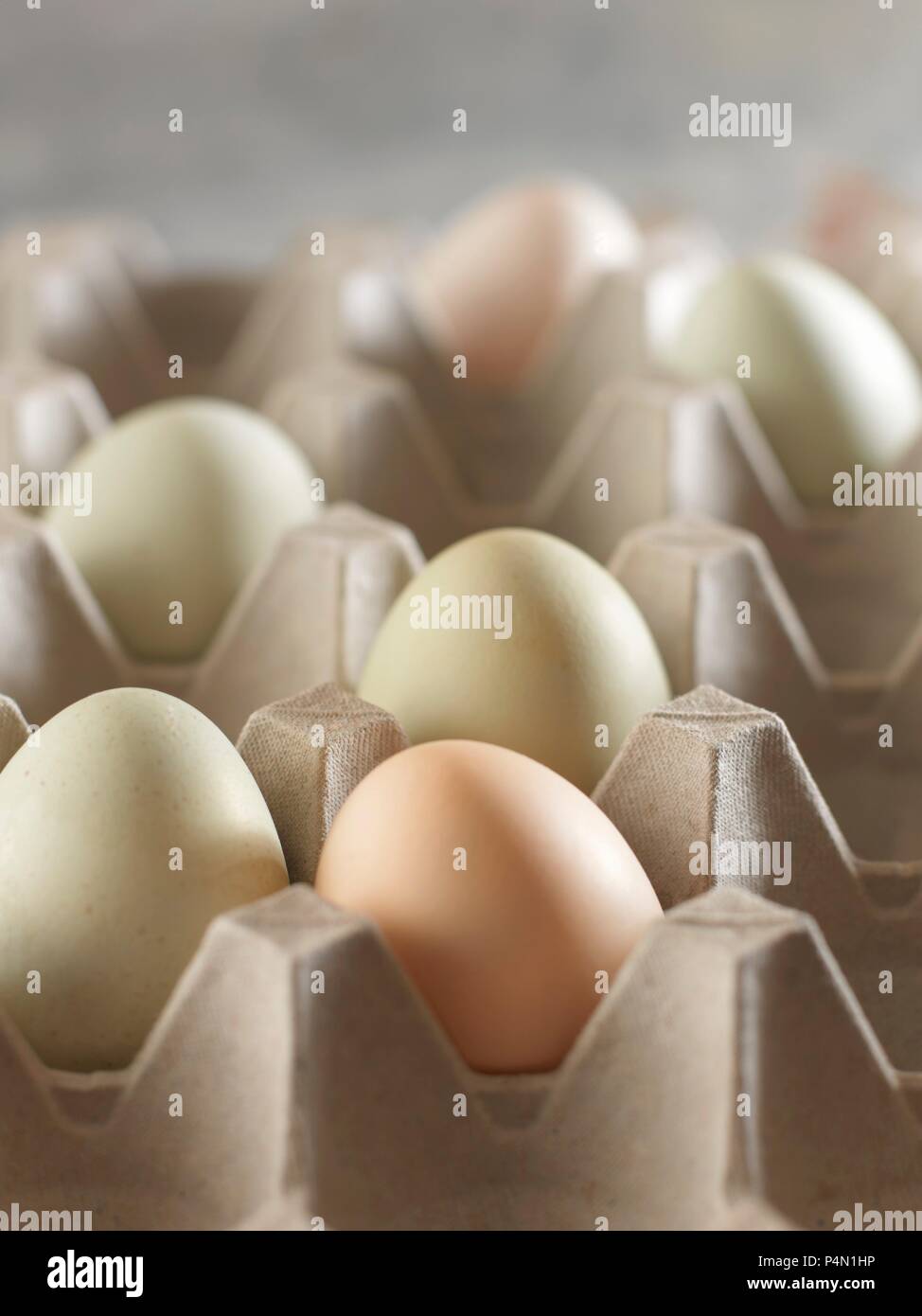 Different coloured Aracuana chicken eggs in an egg box Stock Photo