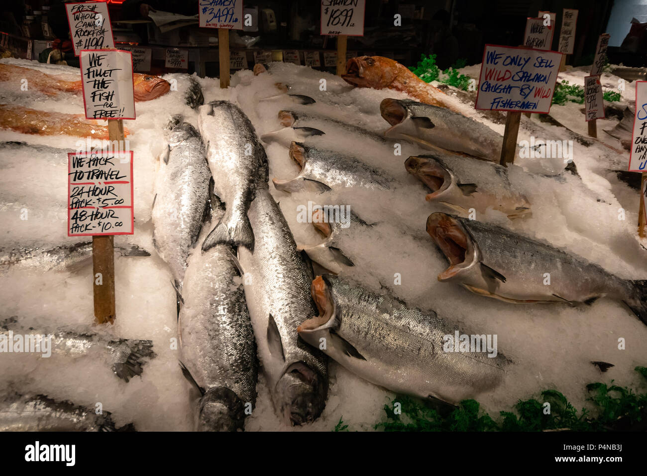 Closeup images of seafood on sale in Pikes Market, in the heart of downtown Seattle; crab; salmon; rockfish all fresh and ready for custom packing Stock Photo