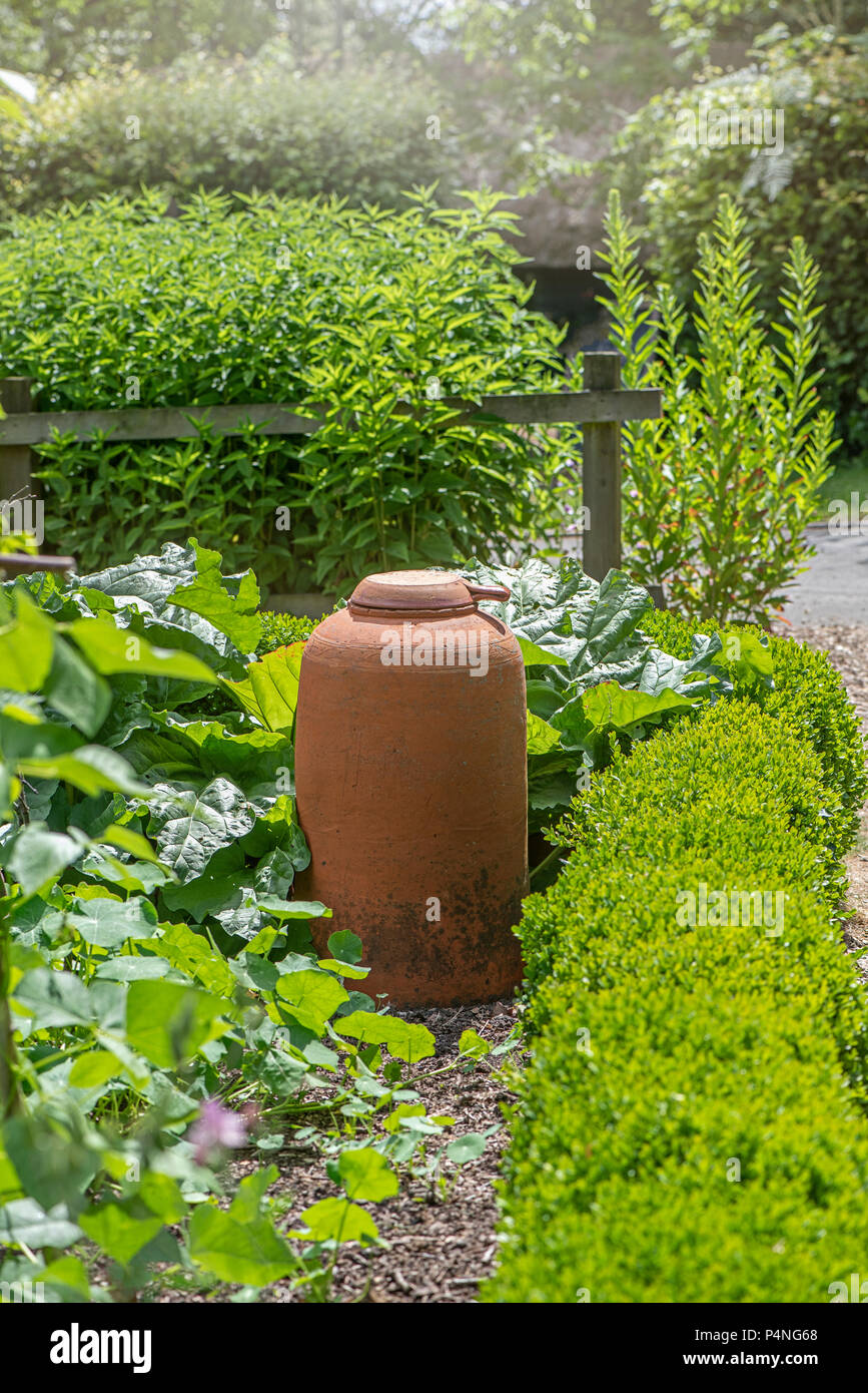 Close-up image of a Terra Cotta Rhubarb Forcing Jar in the summer sunshine Stock Photo