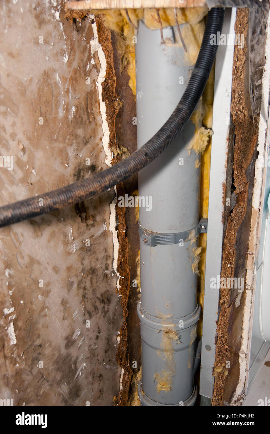 Defect insulation and molded wall caused by water damage Stock Photo