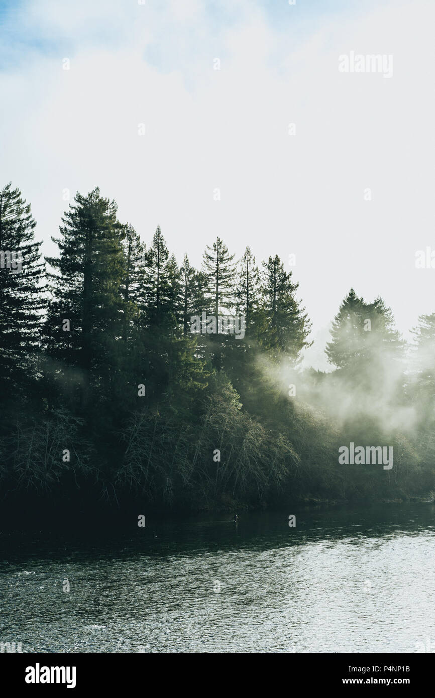 Mist against the trees on a lake in the morning Stock Photo - Alamy