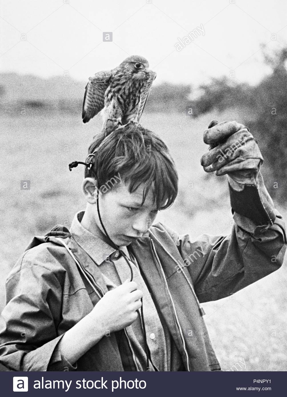 Kes 1969 David Bradley Stock Photos & Kes 1969 David Bradley Stock ...