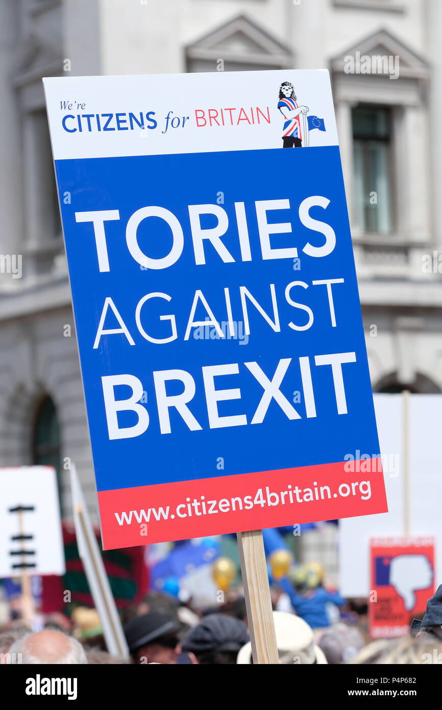 People's Vote march London, UK - 23rd June 2018.  - Protestors with placard Tories Against Brexit march along Pall Mall en route Whitehall to demand a second vote on the final Brexit deal - Steven May /Alamy Live News Stock Photo