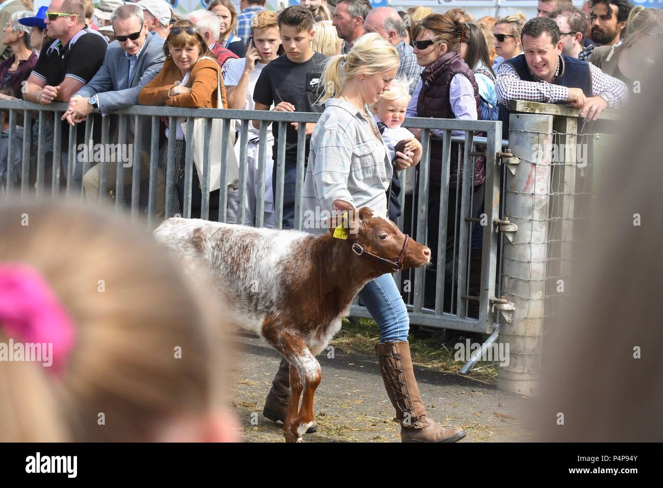 Royal highland show 2018 hires stock photography and images Alamy