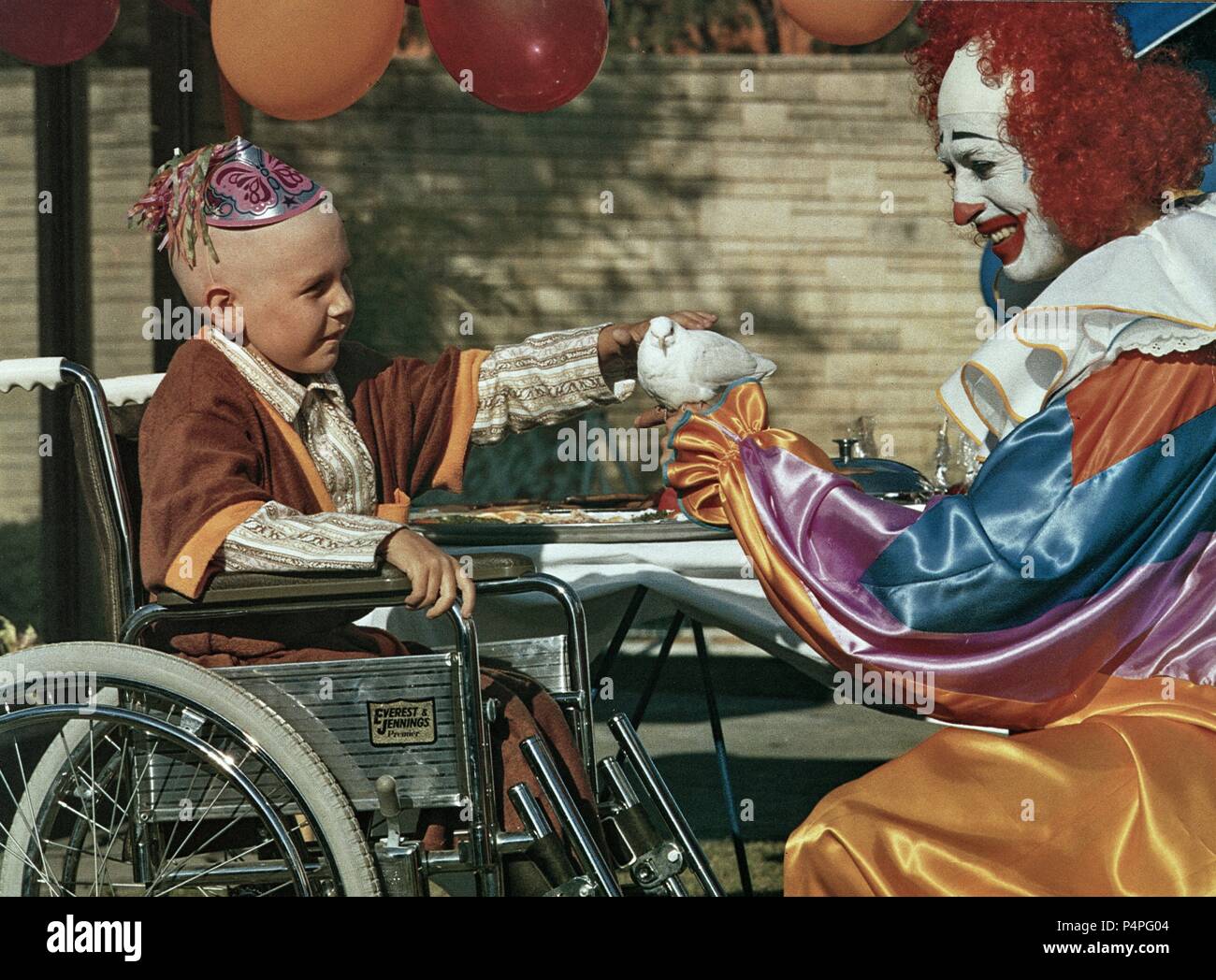 Original Film Title HARLEQUIN. English Title HARLEQUIN. Film Director