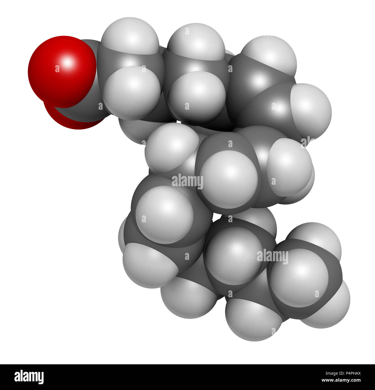 Wesson Vegetable Oil Sds Buy Outlet uecavanis.edu.ec