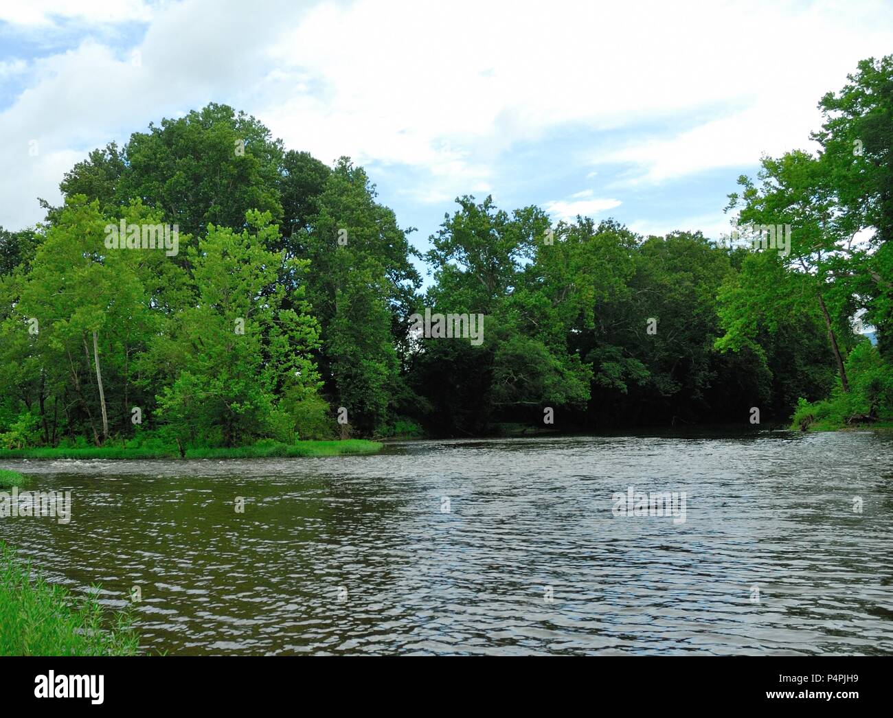 Confluence james river cowpasture river jackson river hires stock