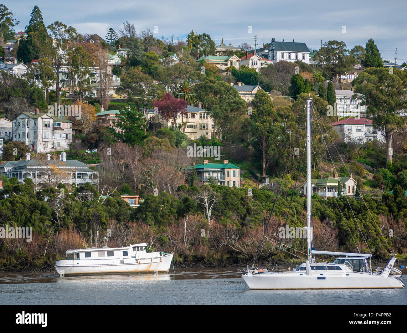 View from Royal Park of residential houses near Tamar River in Launceston. Tasmania, Australia Stock Photo