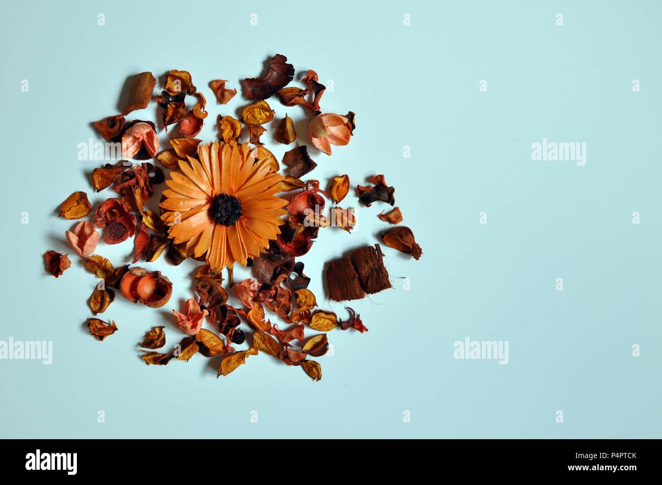 Random arrangement of dried brown flowers, copy space, flat lay Stock Photo