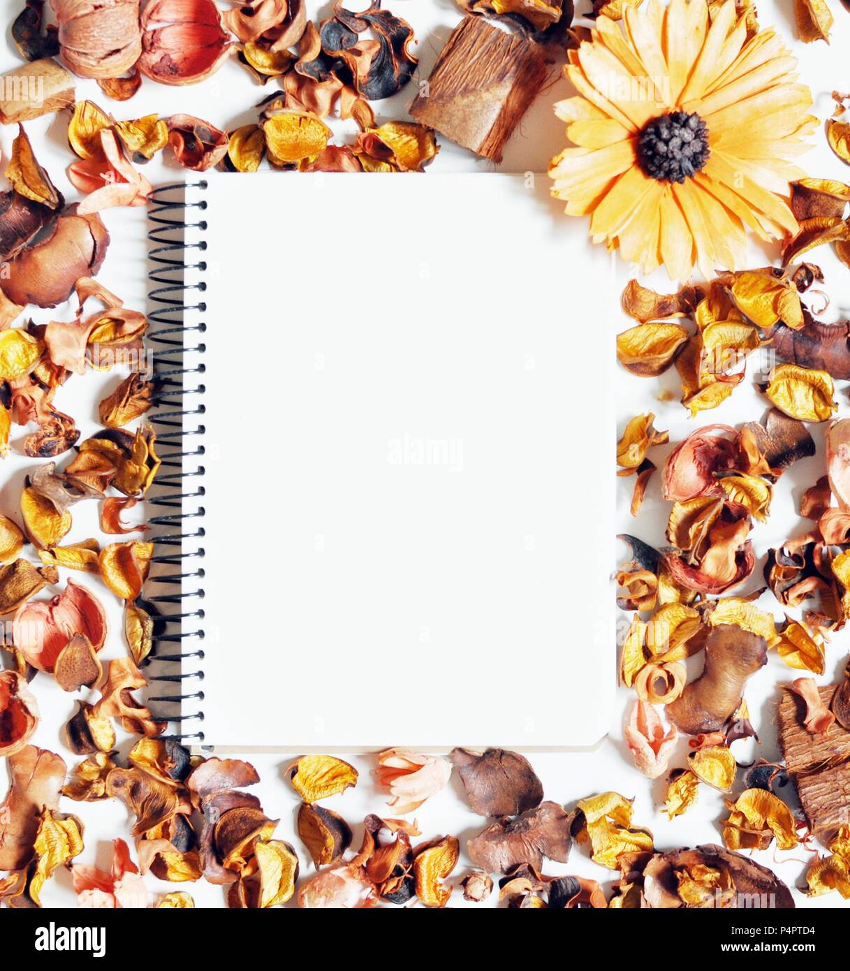 Random arrangement of dried brown flowers with a notebook in the middle for copy space, flat lay, close up Stock Photo
