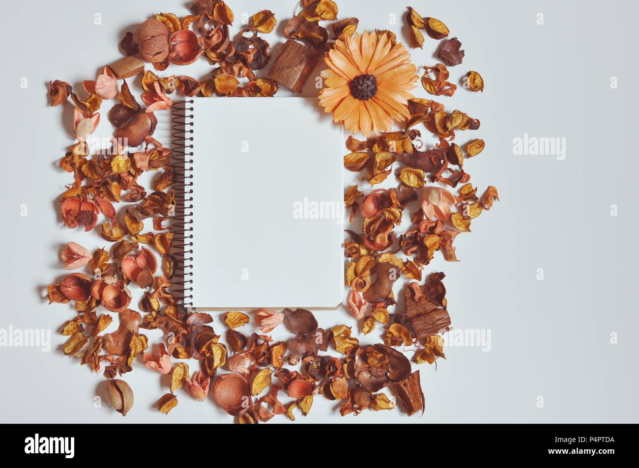 Random arrangement of dried brown flowers with a notebook in the middle for copy space, flat lay Stock Photo