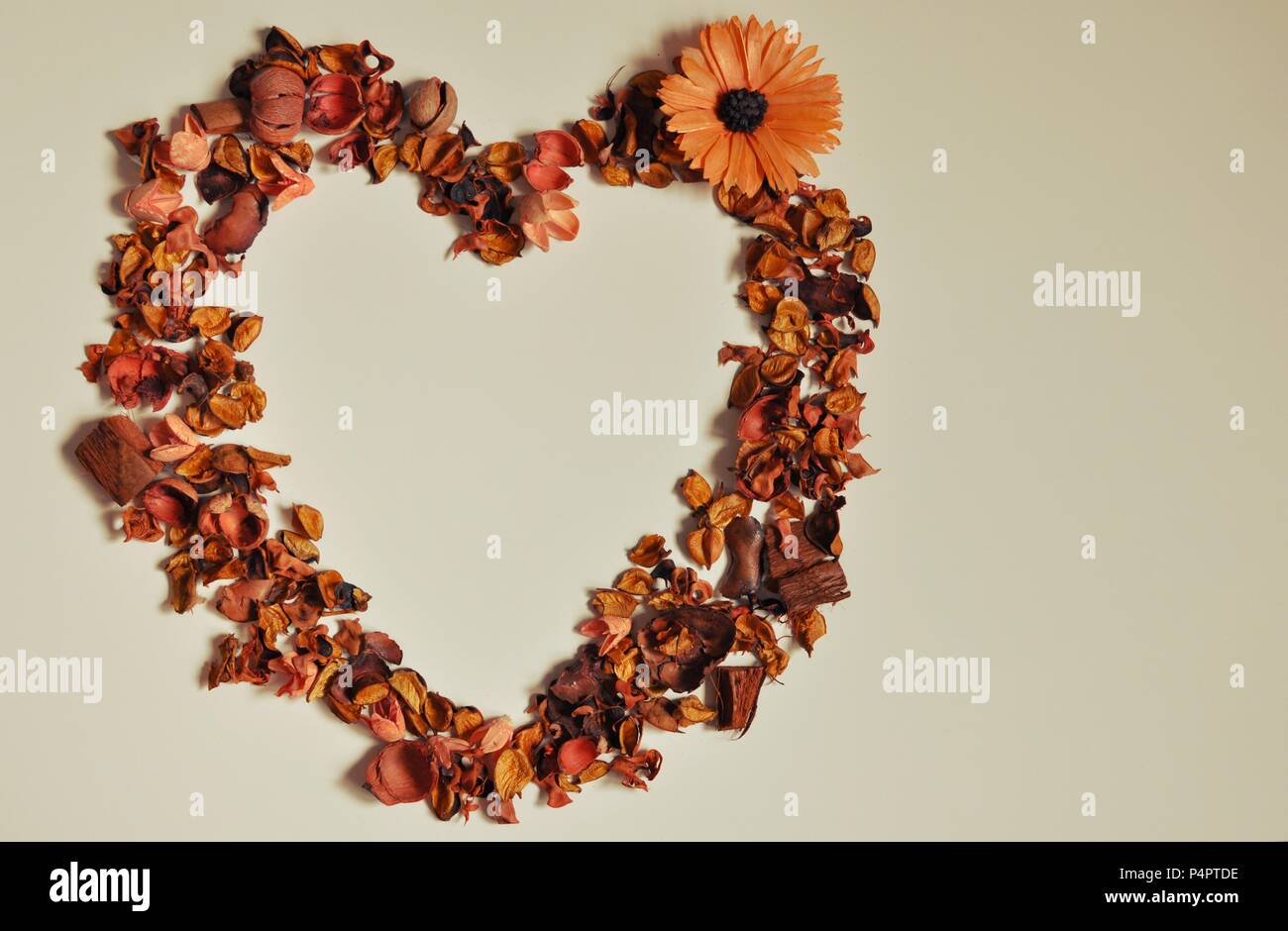 Random arrangement of brown, heart-shaped flowers, copy space in the middle, flat lay Stock Photo