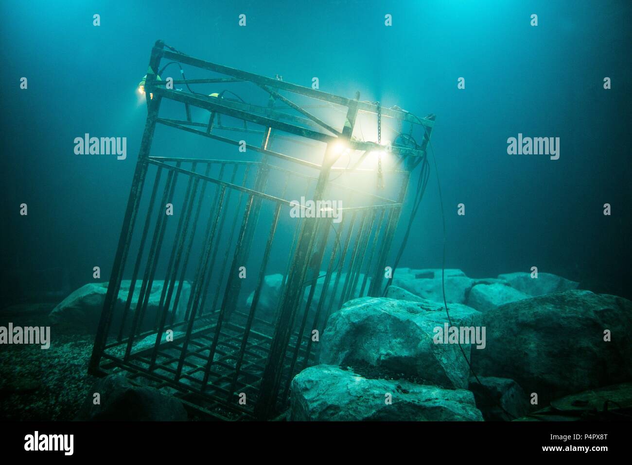 Original Film Title: 47 METERS DOWN. English Title: 47 METERS DOWN. Film  Director: JOHANNES ROBERTS. Year: 2017. Credit: ENTERTAINMENT STUDIOS  MOTION PICTURES/TEA SHOP & FILM COMPAN / Album Stock Photo - Alamy