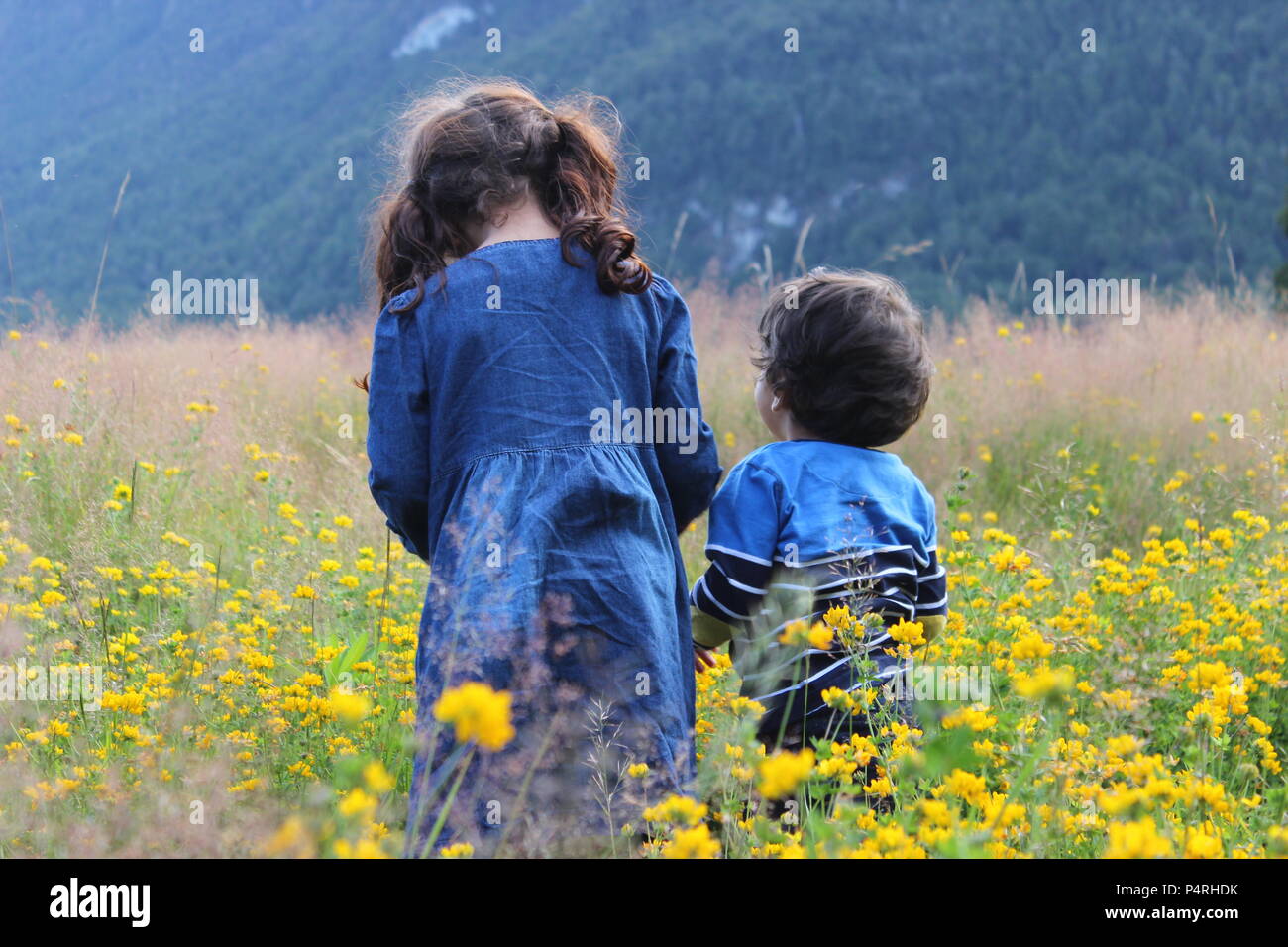 Children picnic boy girl hi-res stock photography and images - Alamy