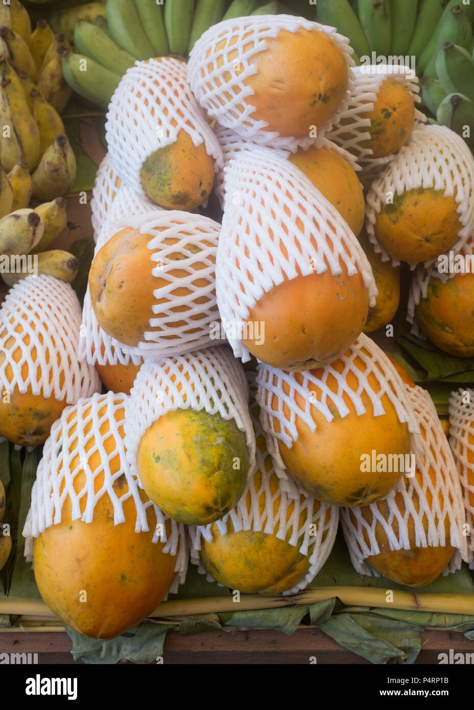 Close up of ripe papayas covered with foam net in market, Prachuap Khiri Khan Province, Hua Hin, Thailand, Asia. Stock Photo