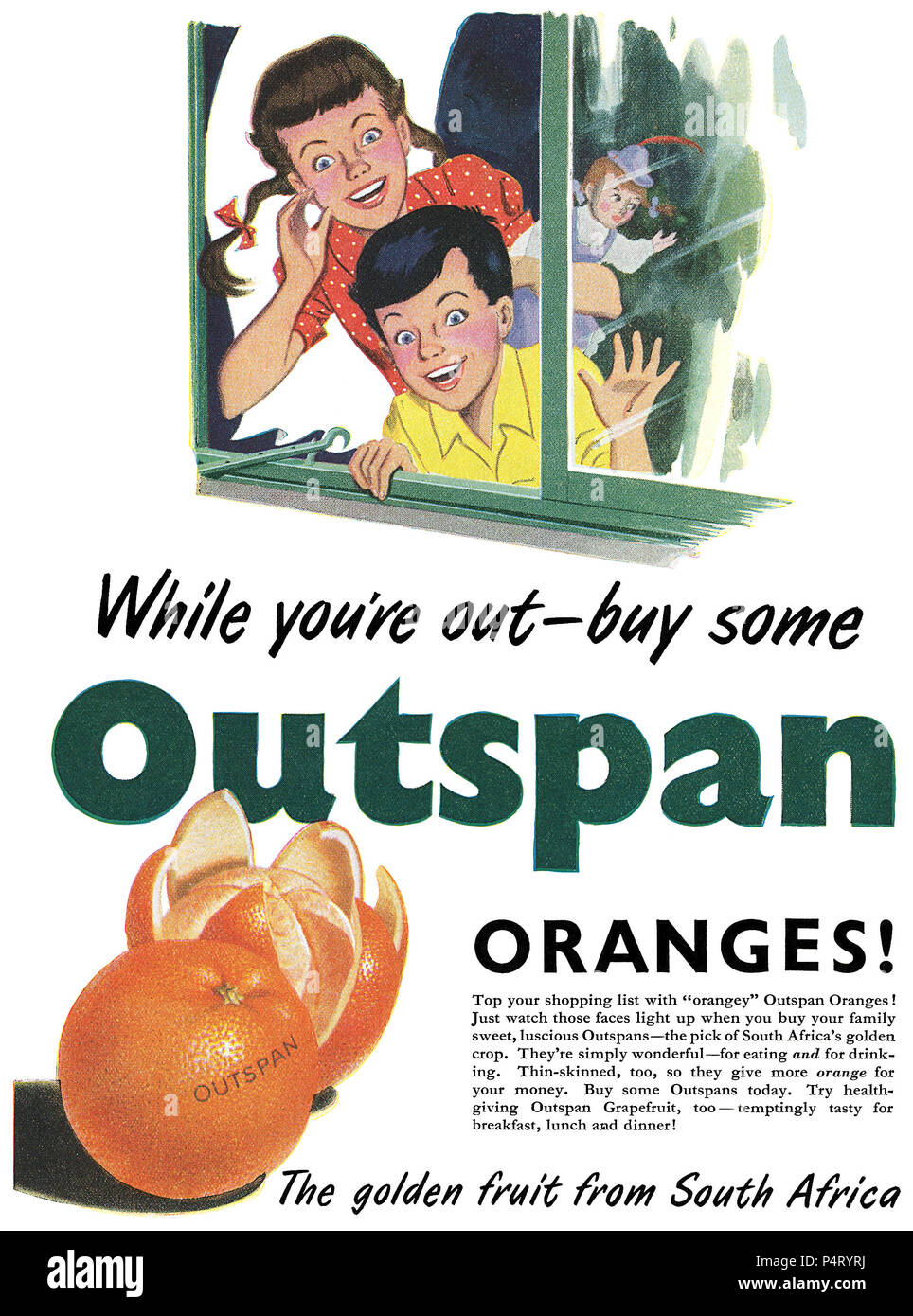 1951 British advertisement for Outspan oranges. Stock Photo
